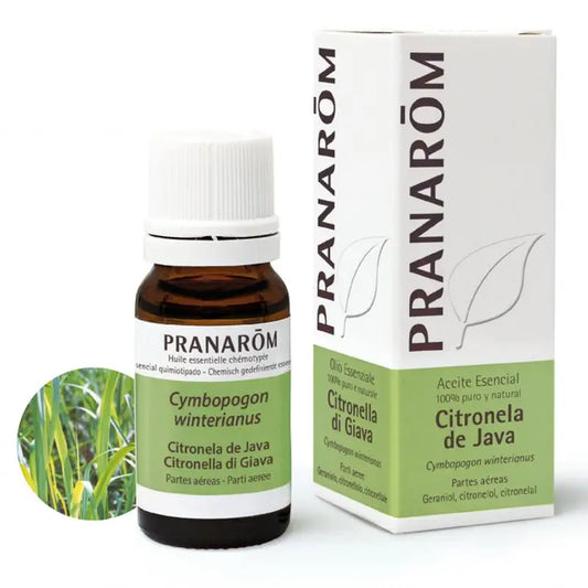Pranarom Citronella Java Olio essenziale, 10ml