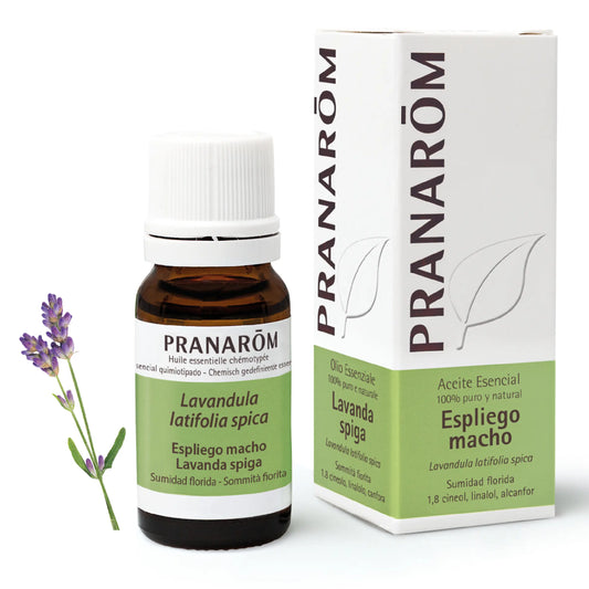 Pranarom Essential Oil Lavender Spiga, 10ml