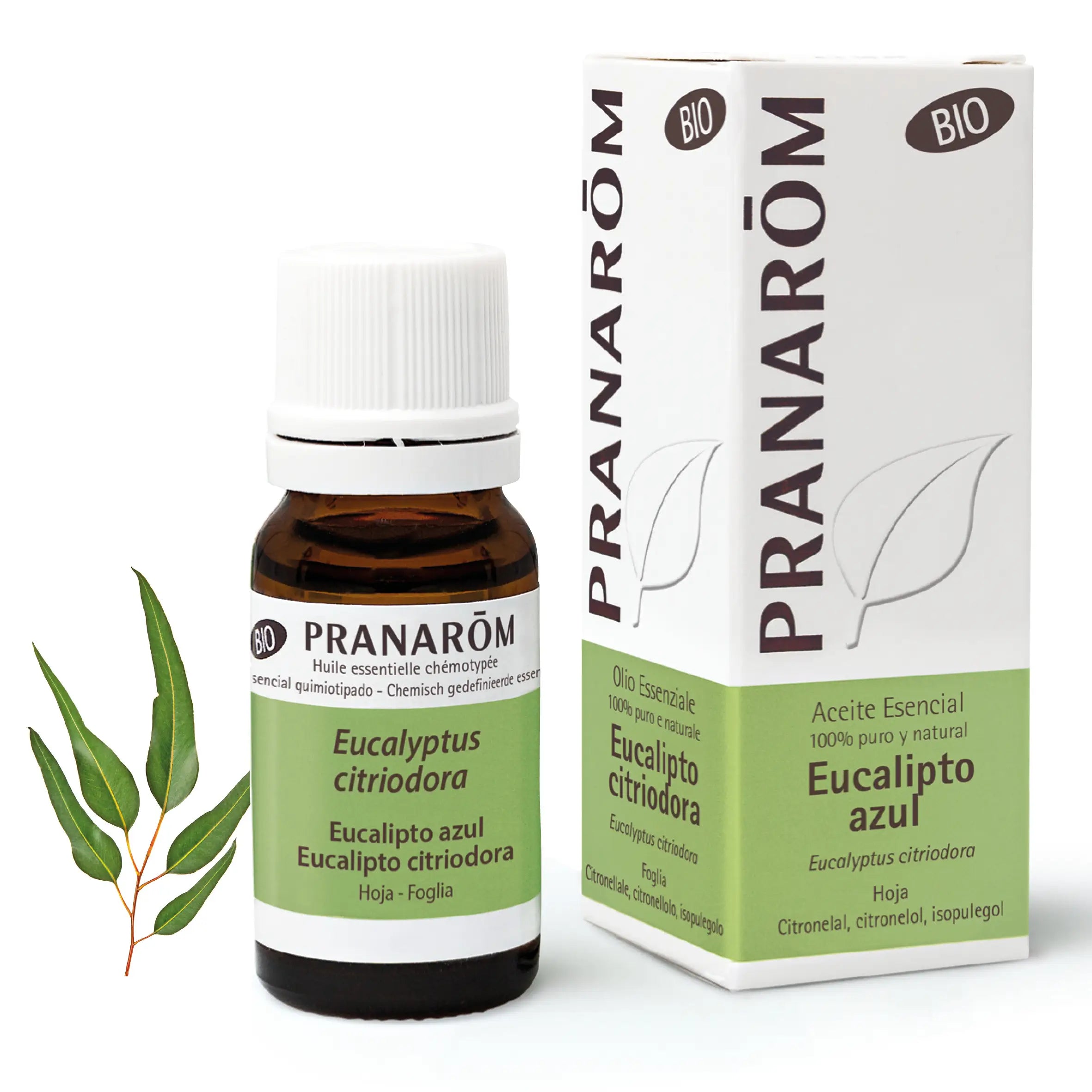 Pranarom Essential Oil Organic Blue Eucalyptus Muscles and Joints 100% Pure & Natural , 10 ml