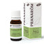 Pranarôm Rosemary Qt Cineol Organic, 10 ml