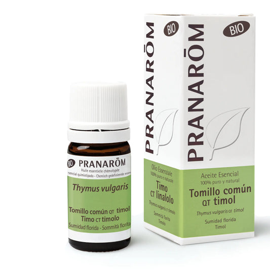 Pranarôm Common Thyme Qt Thymol 5 ml