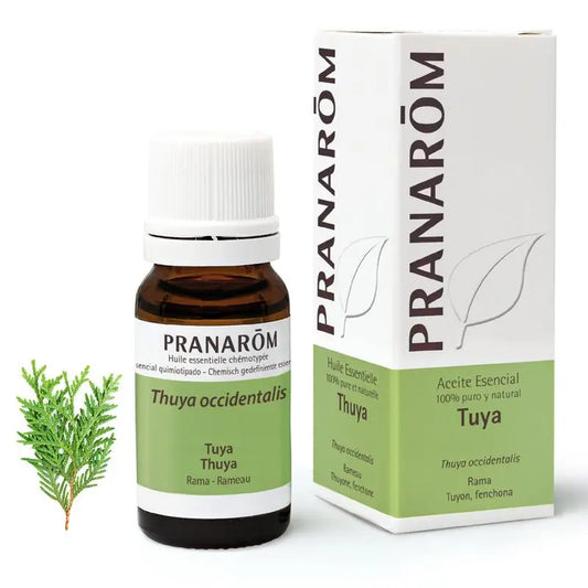 Pranarom Olio essenziale Tuya, 10ml