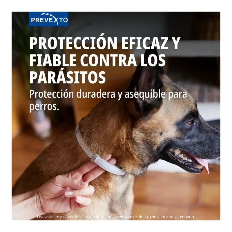 Collare antiparassitario Prevexto per cani di peso superiore a 8 kg, 70 cm