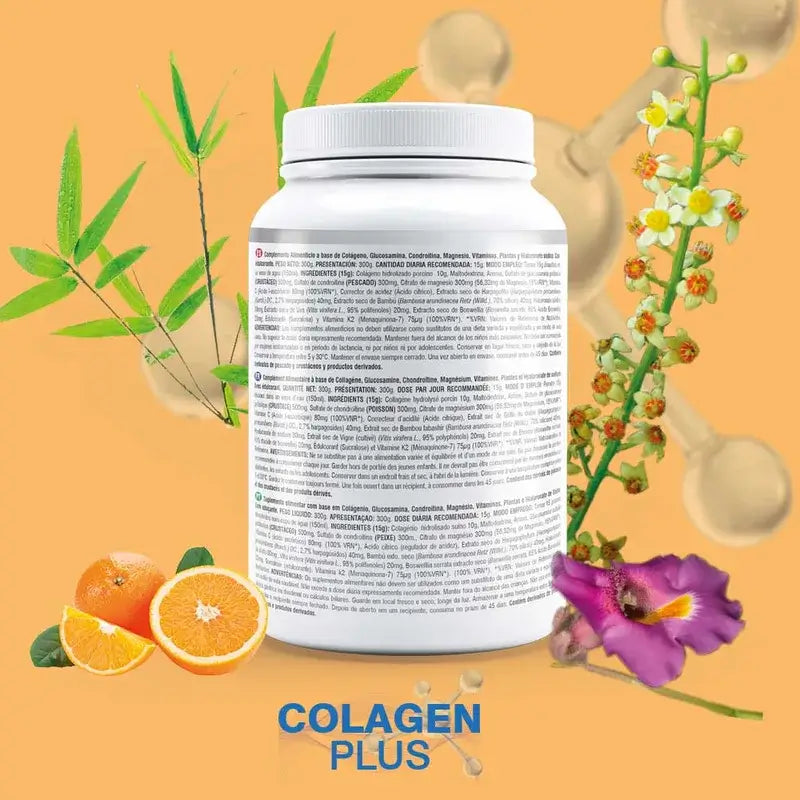 Prisma Natural Porcino Colagen Plus Flexiplus, 300 g