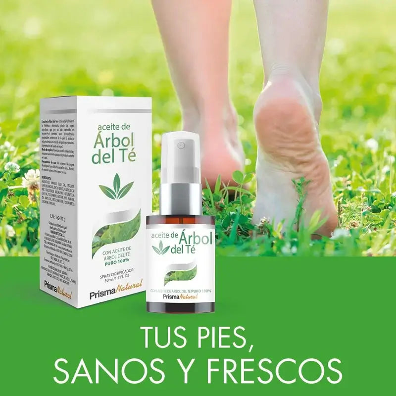Prisma Olio naturale di Tea Tree, 50 ml