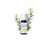 Puressentiel Olio essenziale di rosmarino Cineol, 10 ml