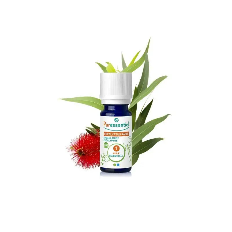 Puressentiel Olio essenziale di Eucalipto Radiata Bio, 10 ml