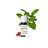 Puressentiel Olio essenziale di Wintergreen Bio, 10 ml