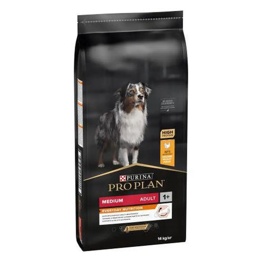 Purina Pro Plan Canine Adult Balance Medium 14Kg , dog food for dogs
