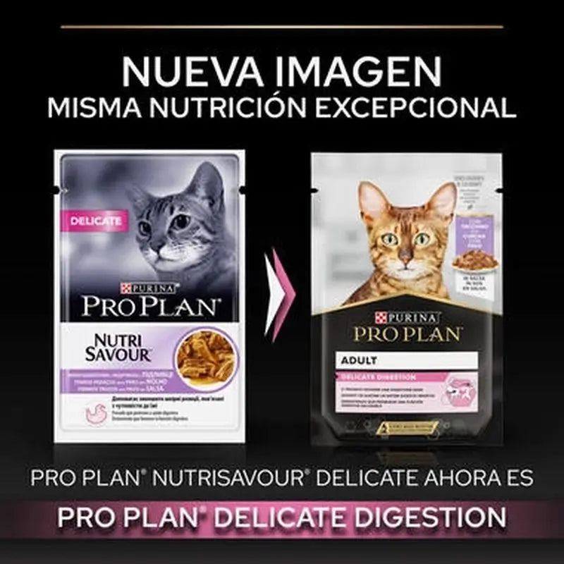 Purina Pro Plan Feline Delicate Turkey 26X85Gr, cibo umido per gatti