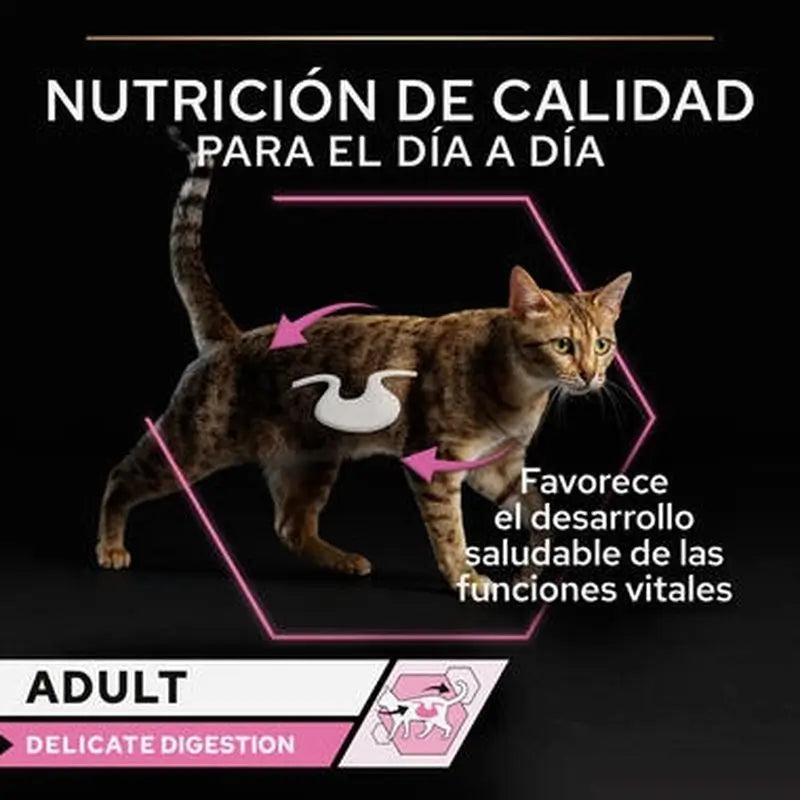 Purina Pro Plan Feline Delicate Turkey 26X85Gr, cibo umido per gatti