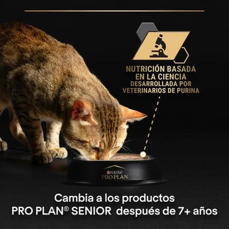Purina Pro Plan Feline Delicate Turkey 26X85Gr, cibo umido per gatti