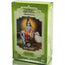 Radhe Shyam Ayurvedic Aloe Vera Trattamento Capelli , 100 gr