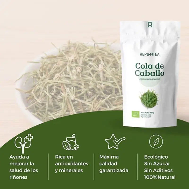 Replantea Equiseto biologico, 100 g