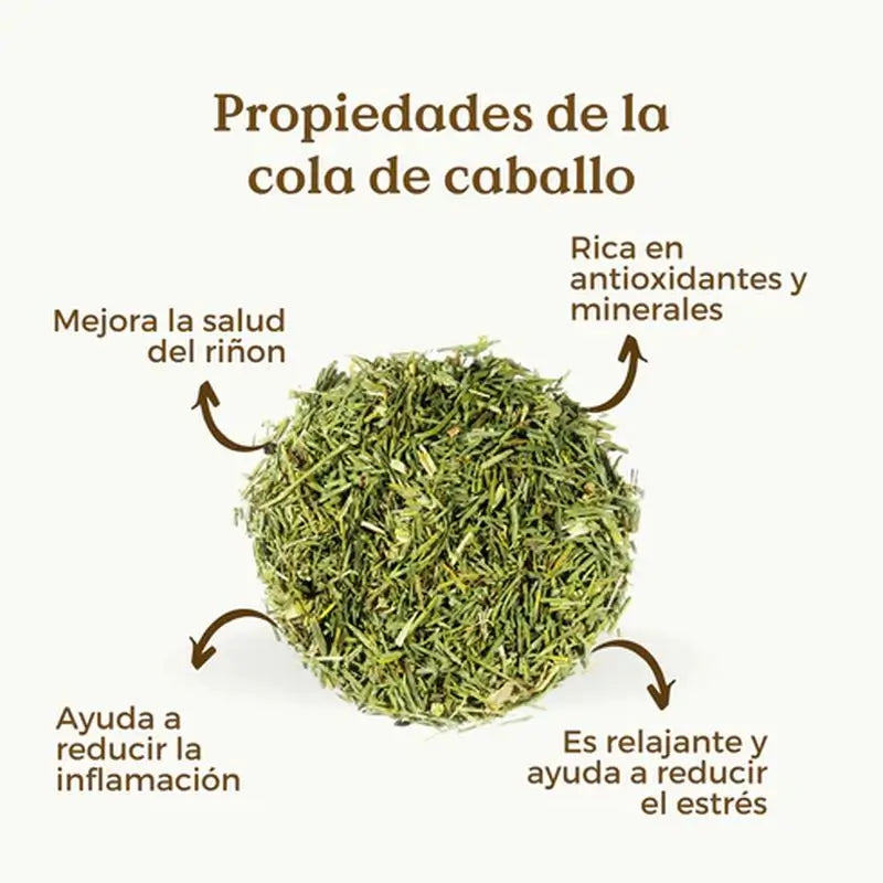 Replantea Equiseto biologico, 100 g
