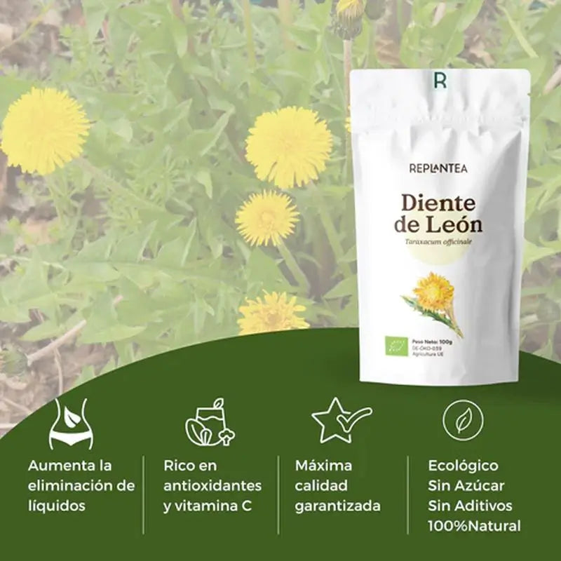 Replantea Tarassaco biologico, 100 g