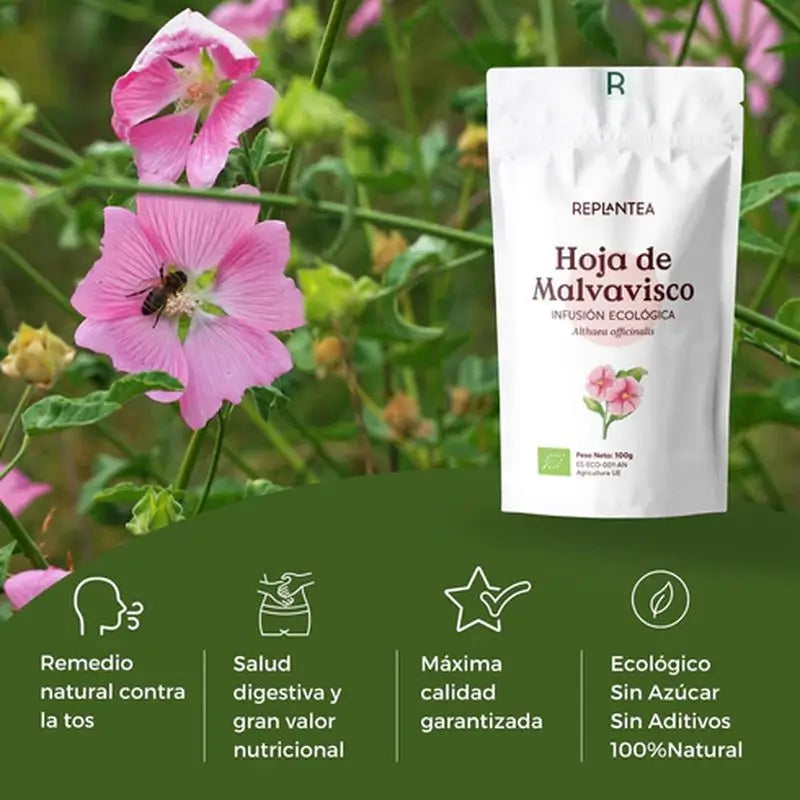 Replantea Infuso di altea o infuso di semi di canapa biologico, 100 g