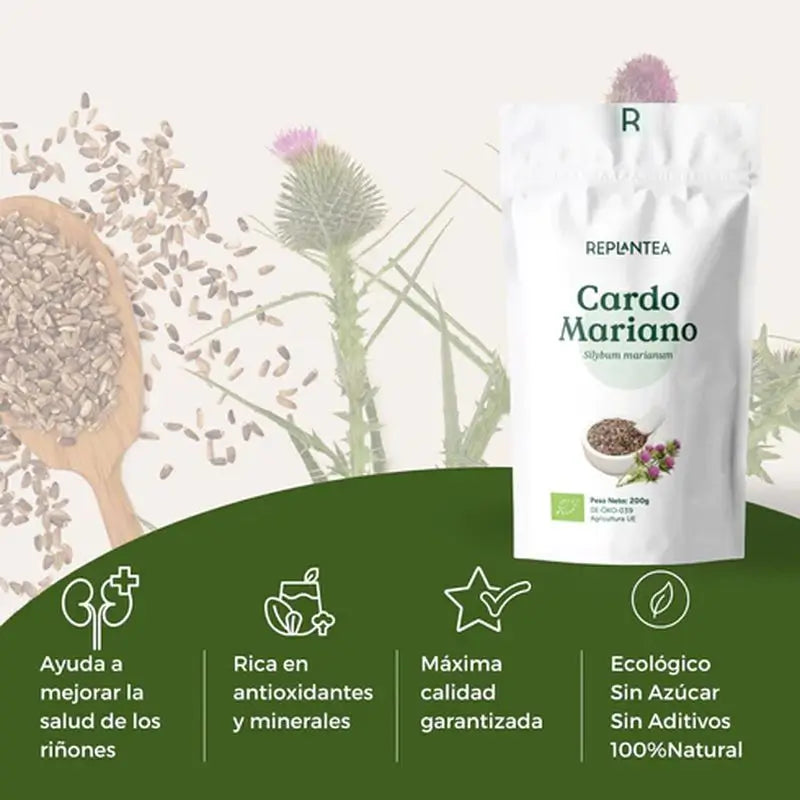Replantea Semi di cardo mariano biologici, 200 g