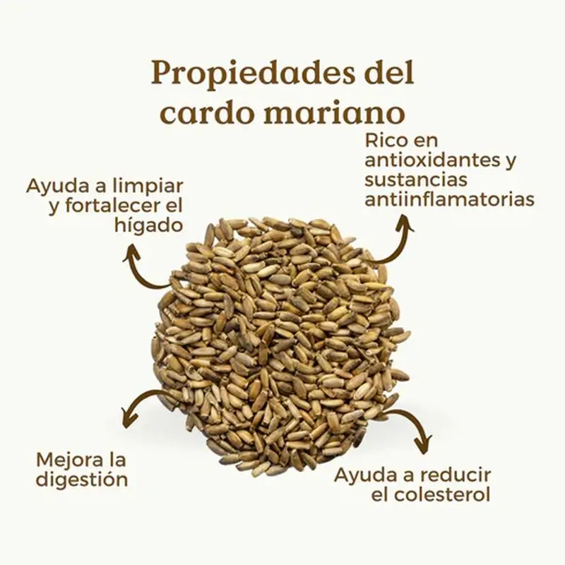 Replantea Semi di cardo mariano biologici, 200 g