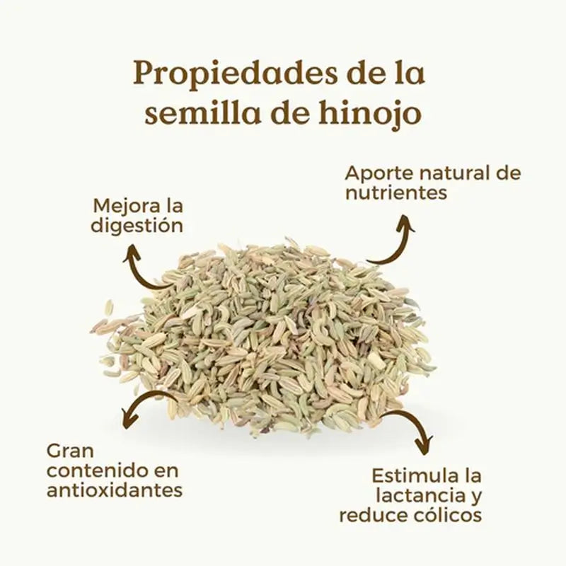 Semi di finocchio biologici Replantea, 200 g