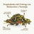 Replantea Tè blu Oolong con arancia e pesca, 100 g
