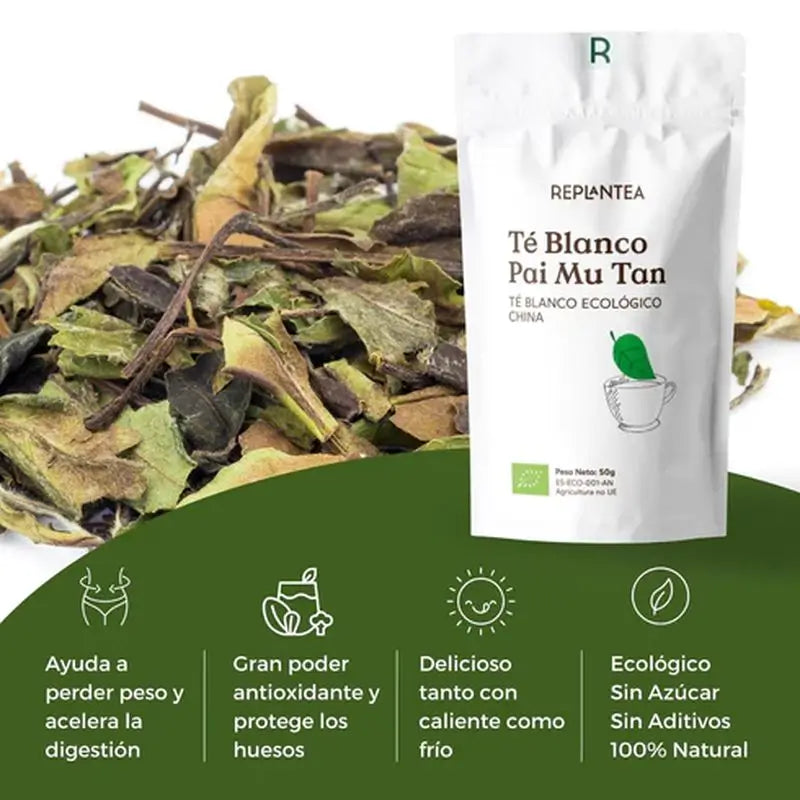 Tè bianco Pai Mu Tan biologico di Replantea, 50 g