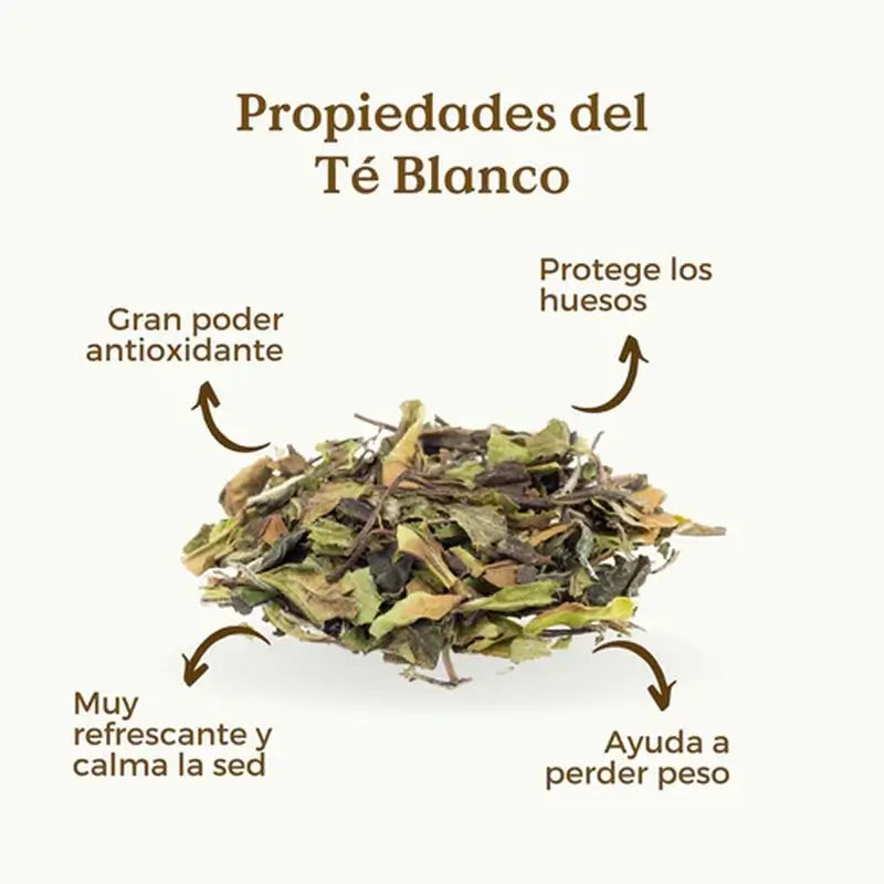 Tè bianco Pai Mu Tan biologico di Replantea, 50 g