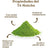 Tè giapponese Matcha cerimoniale biologico Replantea, 50 g