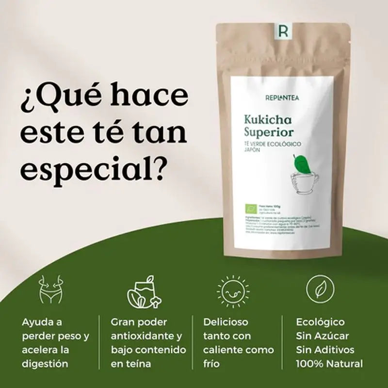 Replantea Tè verde superiore biologico Kukicha, 100 g