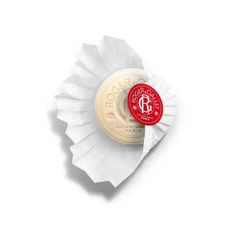 Roger & Gallet Jean Marie Farina Sapone per le mani, 300 gr