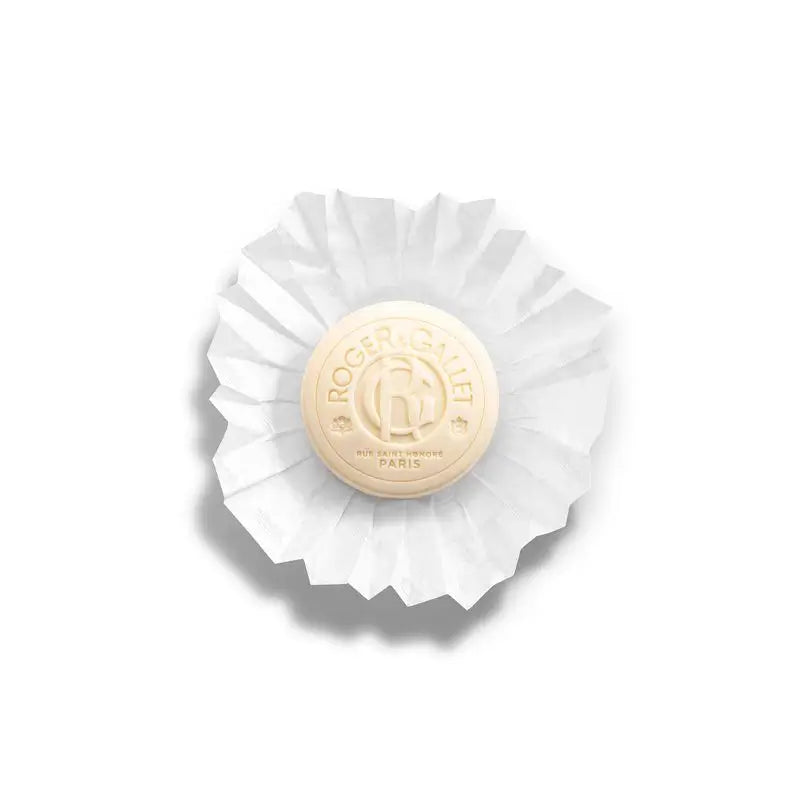 Roger & Gallet Jean Marie Farina Sapone per le mani, 300 gr