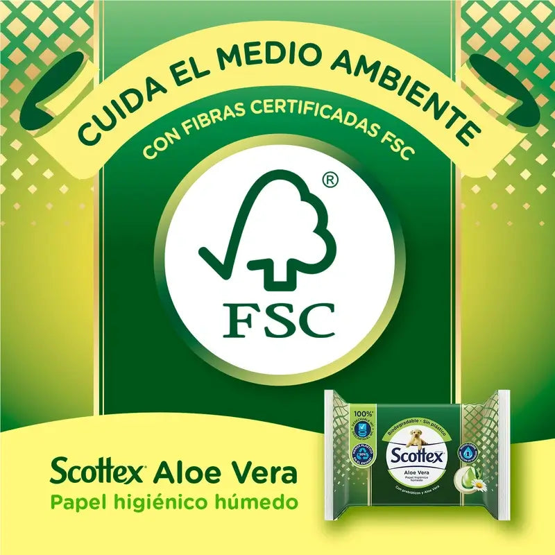 Scottex Aloe Vera Carta igienica umida , 66 unità