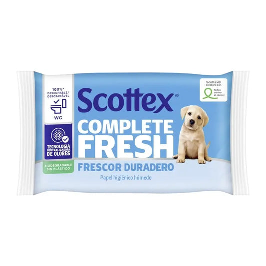 Scottex Fresh Wet, 38 pezzi.
