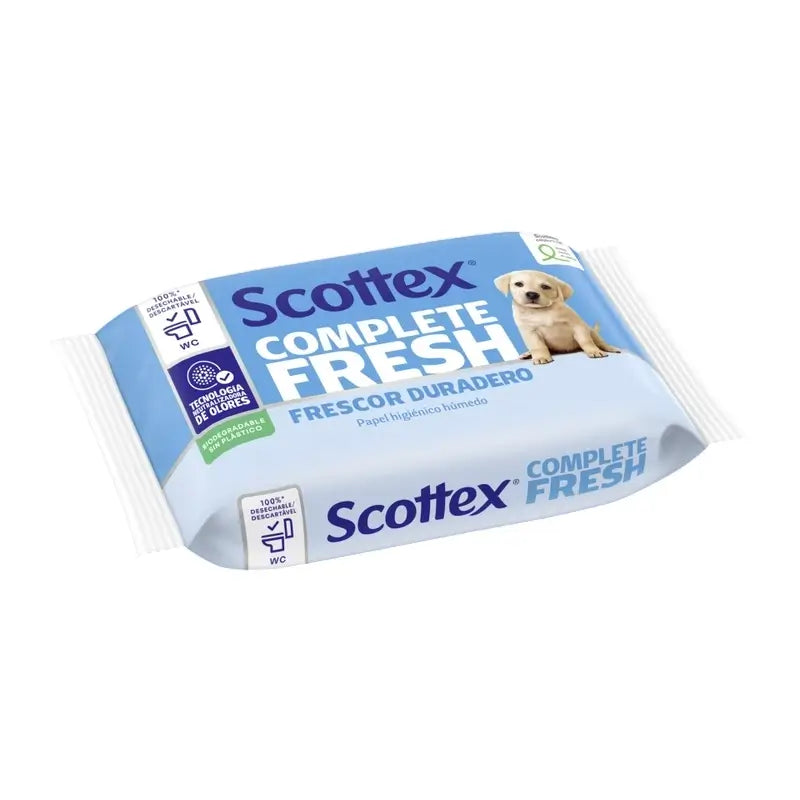 Scottex Fresh Wet, 38 pezzi.