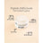 Sensilis Sensilis Peptide [Ar] Crema Sorbetto Effetto Lifting Pelle normale e mista, 50 ml