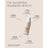 Sensilis Upgrade Make Up Crema effetto lifting 01 Beige 30 ml