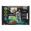 Sheba Kitten Pouch Mix per gatti 13X4X85Gr