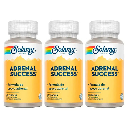 Solaray Adrenal Success Integratore Confezione da 3 x 60 Capsule