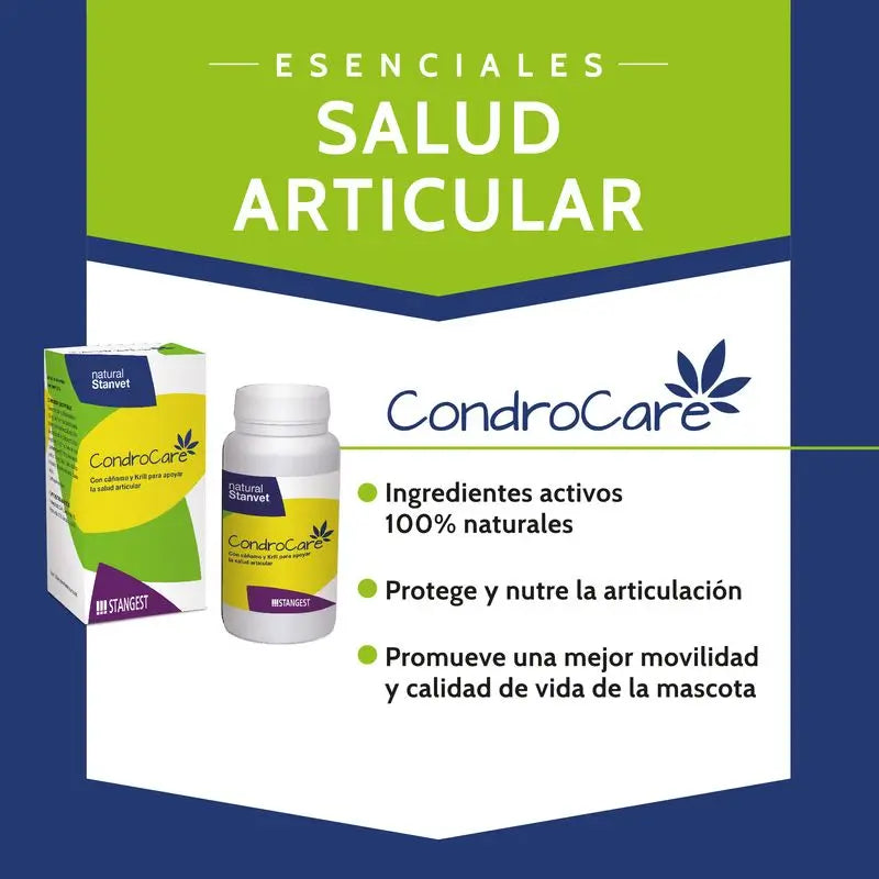 Stangest Chondrocare 30 Compresse