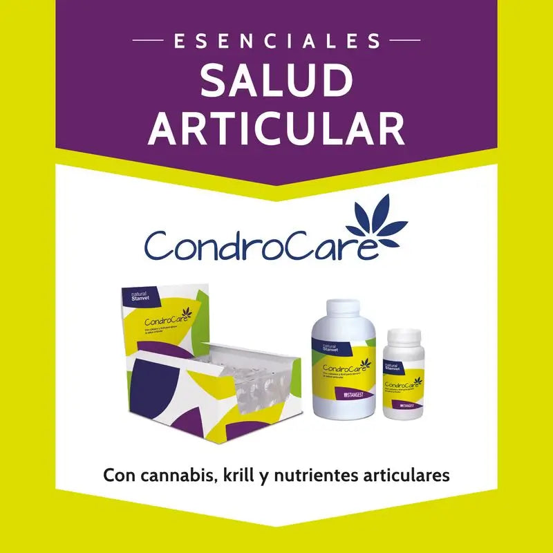 Stangest Chondrocare 30 Compresse