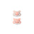 Ciucci Suavinex Sx Pro Teat -2/2 Mesi Wild&Free Rosa, 2 unità