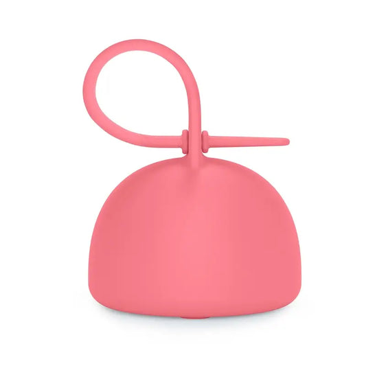 Suavinex Portaciuccio in Silicone con Maniglia, +0 mesi, Fucsia