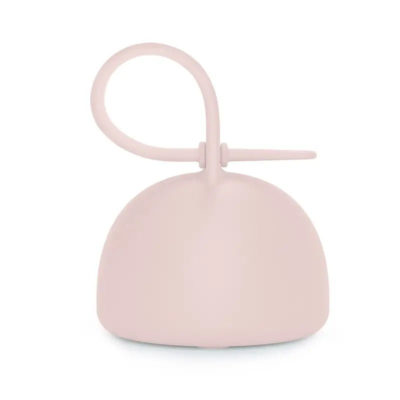 Suavinex Portaciuccio in Silicone con Maniglia, +0 mesi, Acqua di Rose