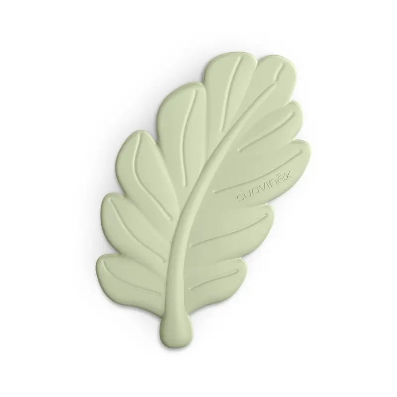 Suavinex Set regalo succhietto + succhietto + biberon 270 Ml (M) + marsupio, verde