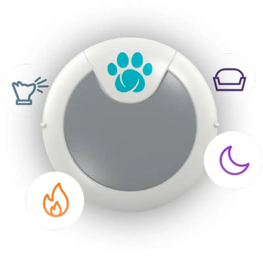 Sure PetCare Animo - Monitor di comportamento e attività per cani.