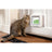 Sure PetCare SureFlap - Gattaiola con microchip bianca
