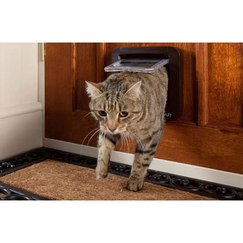 Sure PetCare SureFlap - Gattaiola con microchip marrone