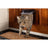 Sure PetCare SureFlap - Gattaiola con microchip marrone