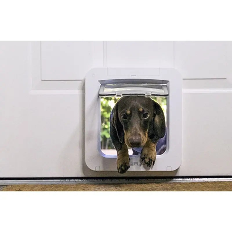 Sure PetCare SureFlap - Cancelletto per animali domestici con microchip Connect + Hub
