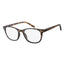 Surgicalmed Euro Optics Kai Presbyopia Reading Glasses (Brown & Light Gold Decoration) (+2.00) Brown & Light Gold Decoration, 1 piece